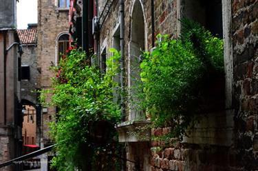 We explore Venice, DSE_8451_b_H490